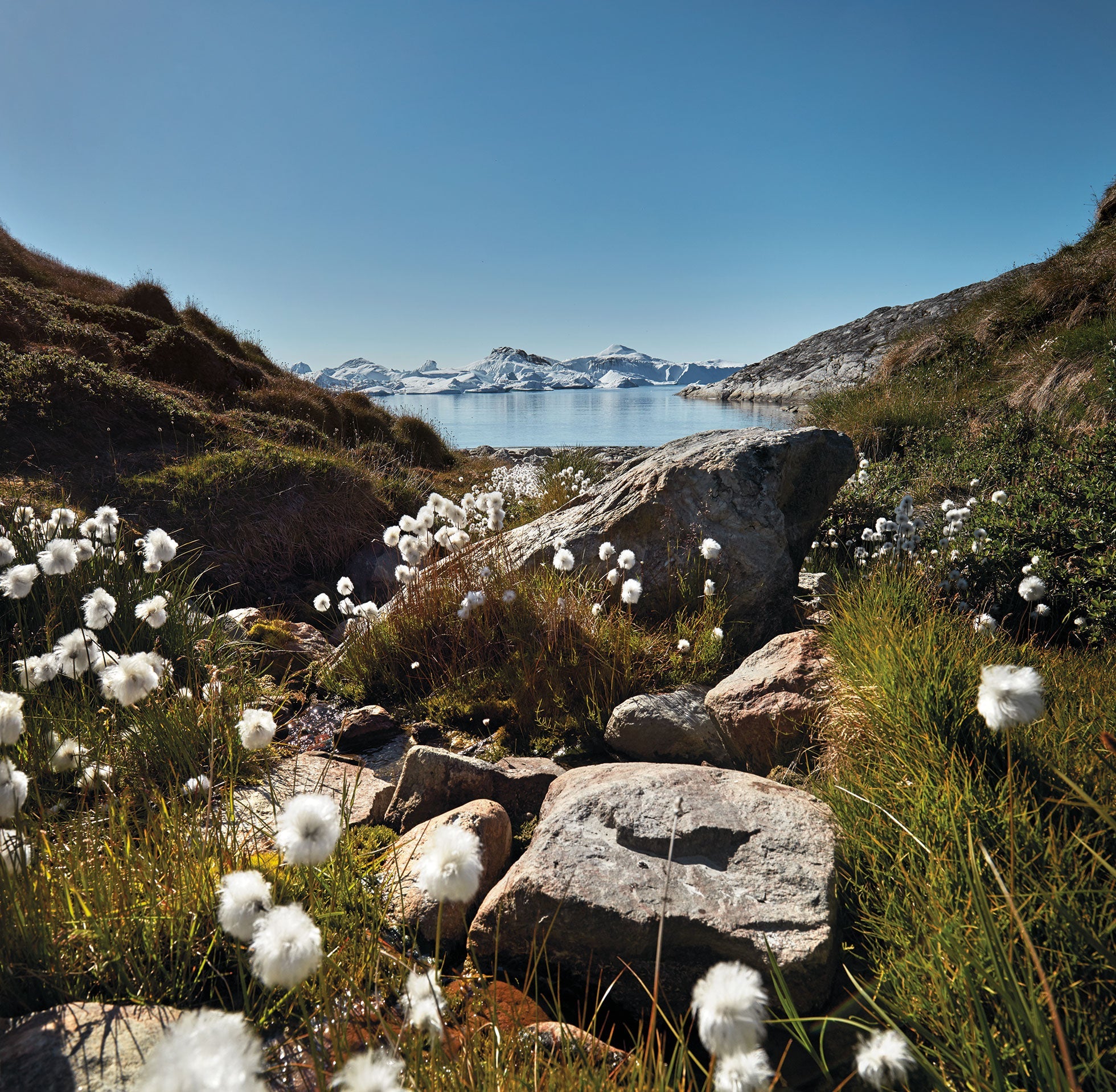 Nordic By Nature