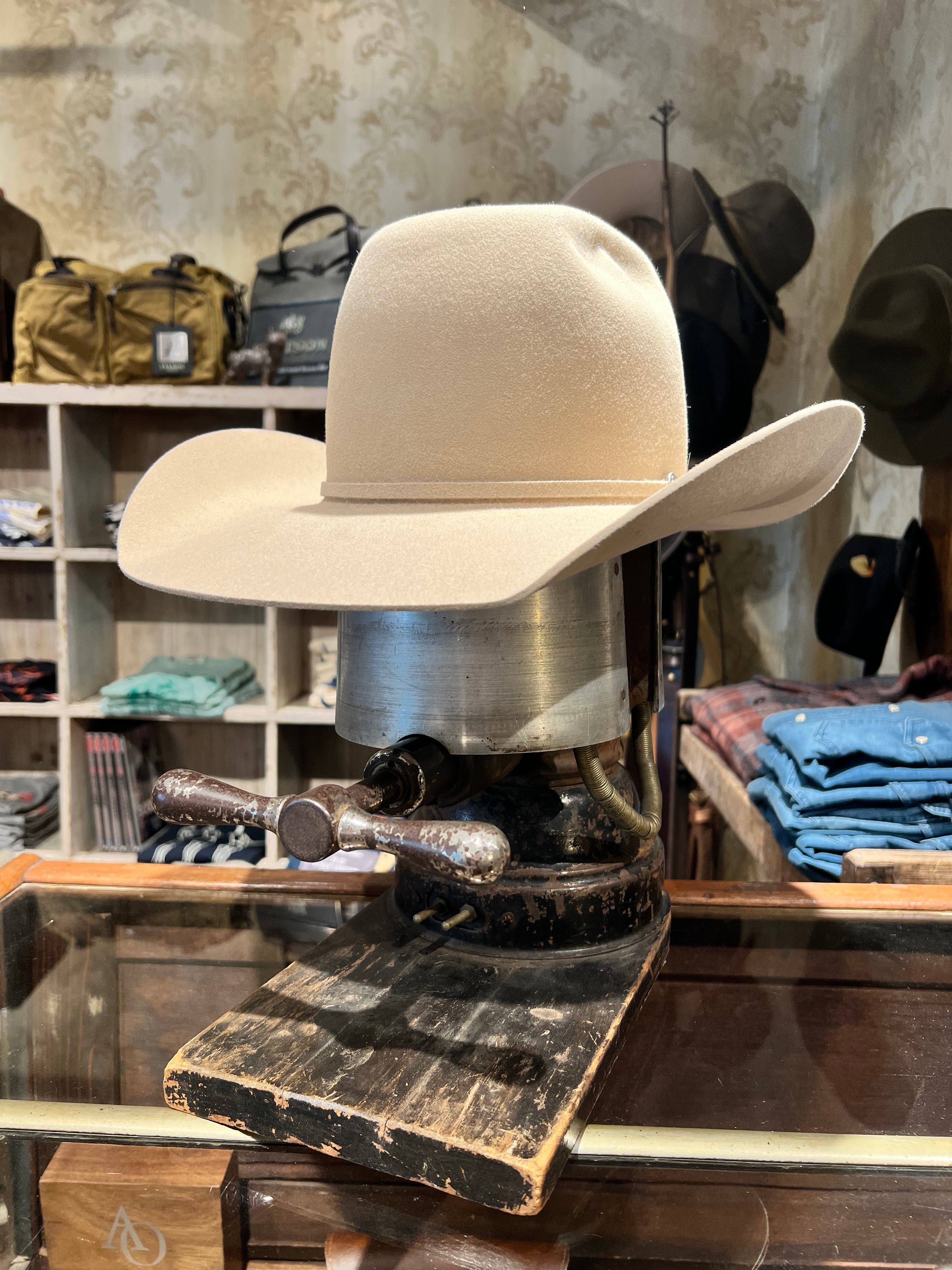 Rodeo king silver belly best sale