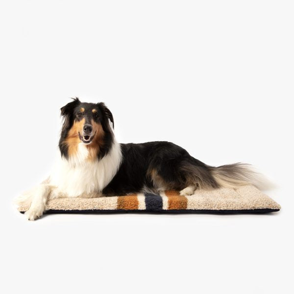 Medium Shinola Brand Stripe Comfort Cushion Oatmeal