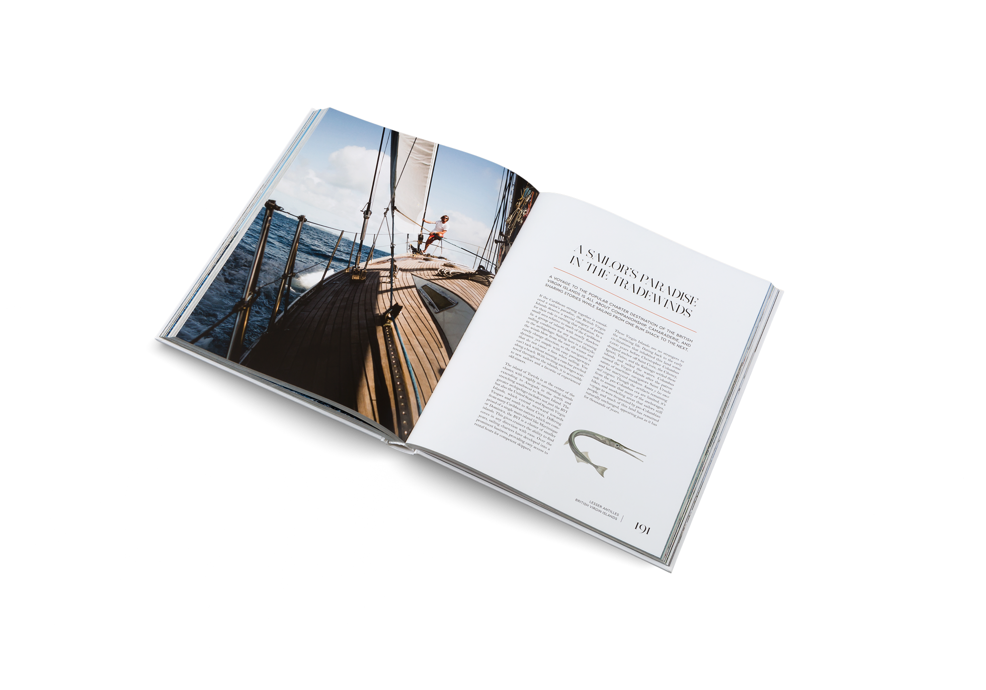 SAILING THE SEAS A VOYAGER'S GUIDE TO OCEANIC GETAWAYS