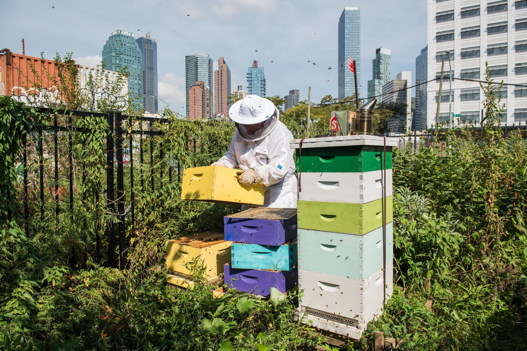 URBAN FARMERS THE NOW (AND HOW) OF GROWING FOOD IN THE CITY