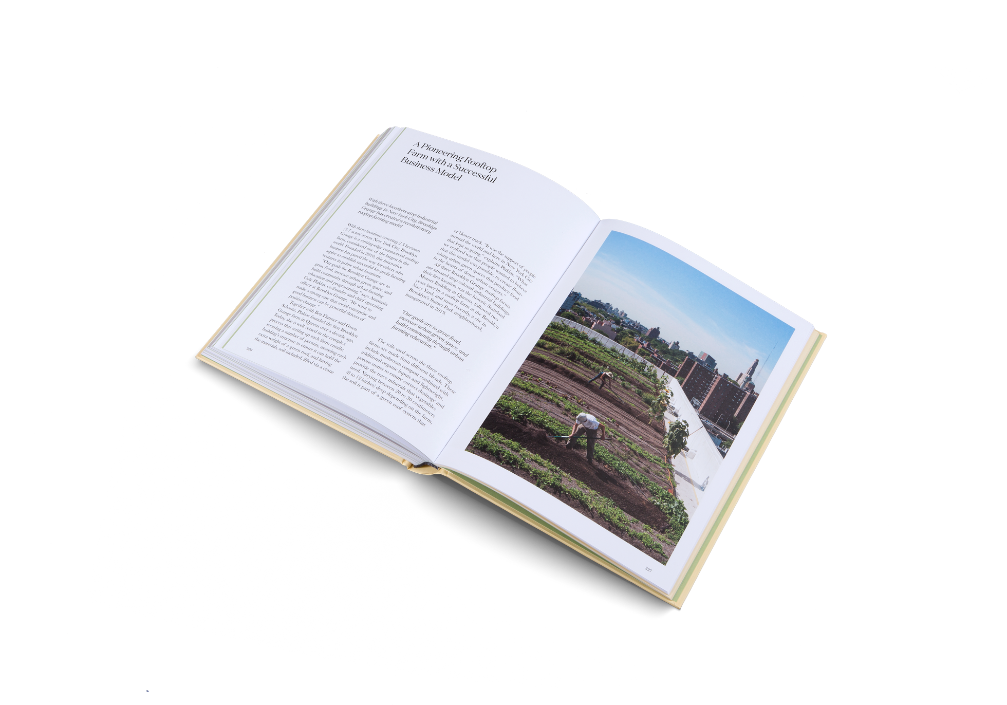 Urban Farmers