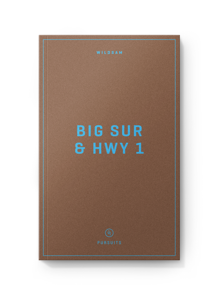Wildsam Field Guides-Big Sur & HWY 1