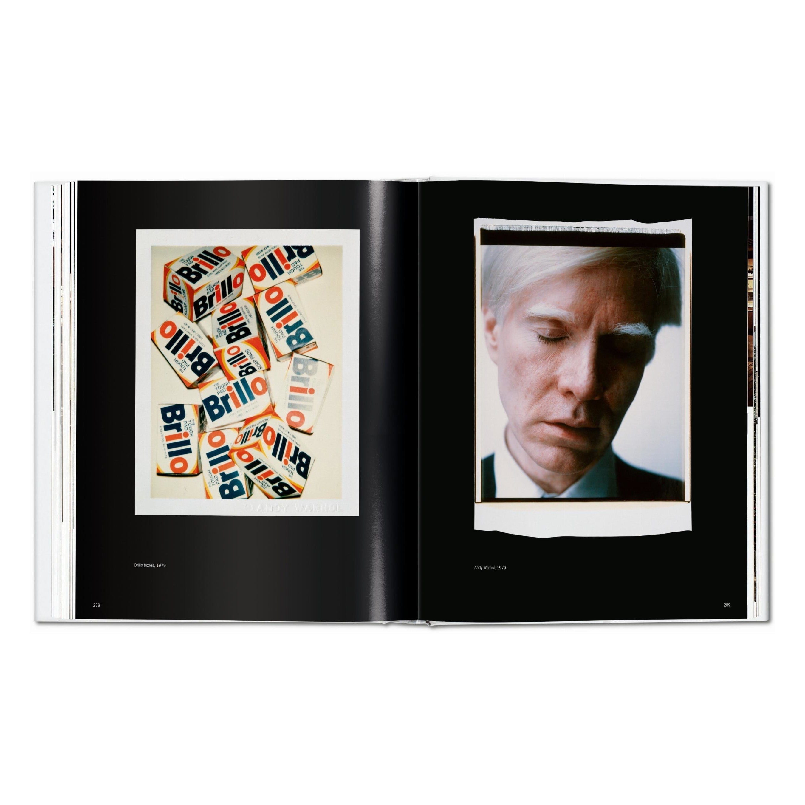 Andy Warhol. Polaroids 1958-1987 (German, French, English)
