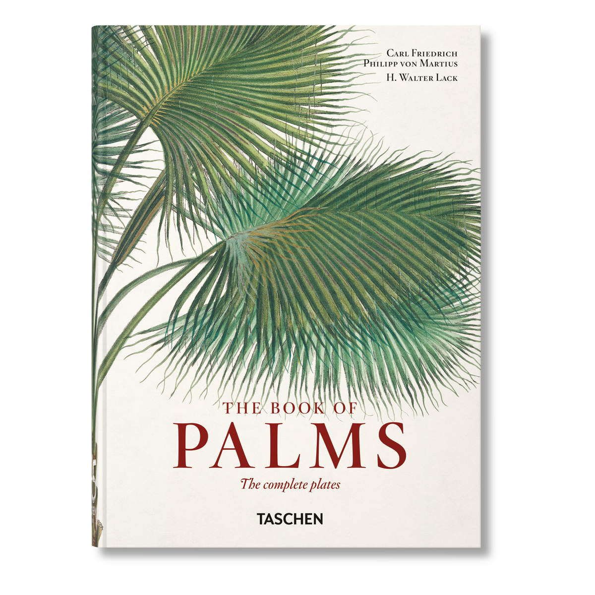 Martius. The Book of Palms. 45th Ed. (German, French, English)