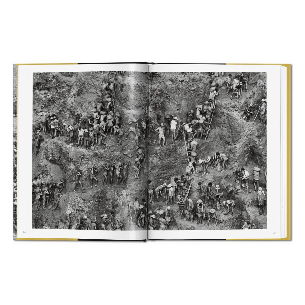 Sebastião Salgado. Gold (German, French, English)