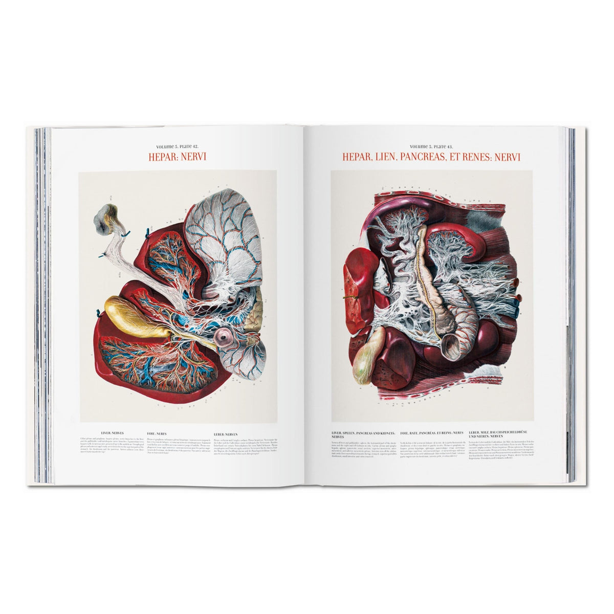 Bourgery. Atlas of Human Anatomy and Surgery (German, French, English)