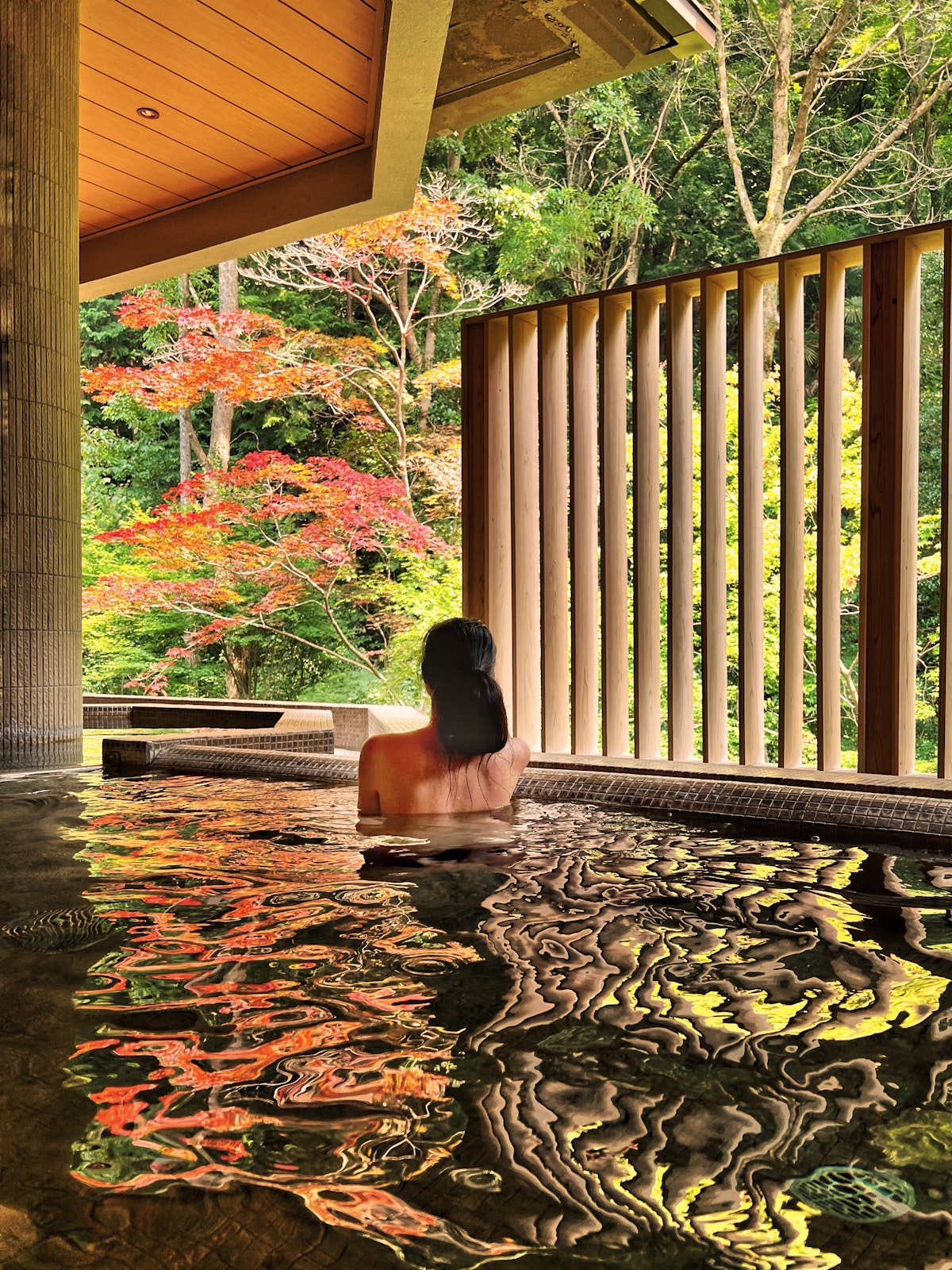 Onsen and Ryokan of Japan