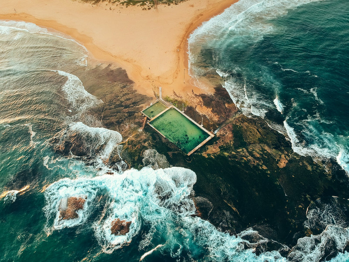 The Nature of Swimming (Updated Edition)