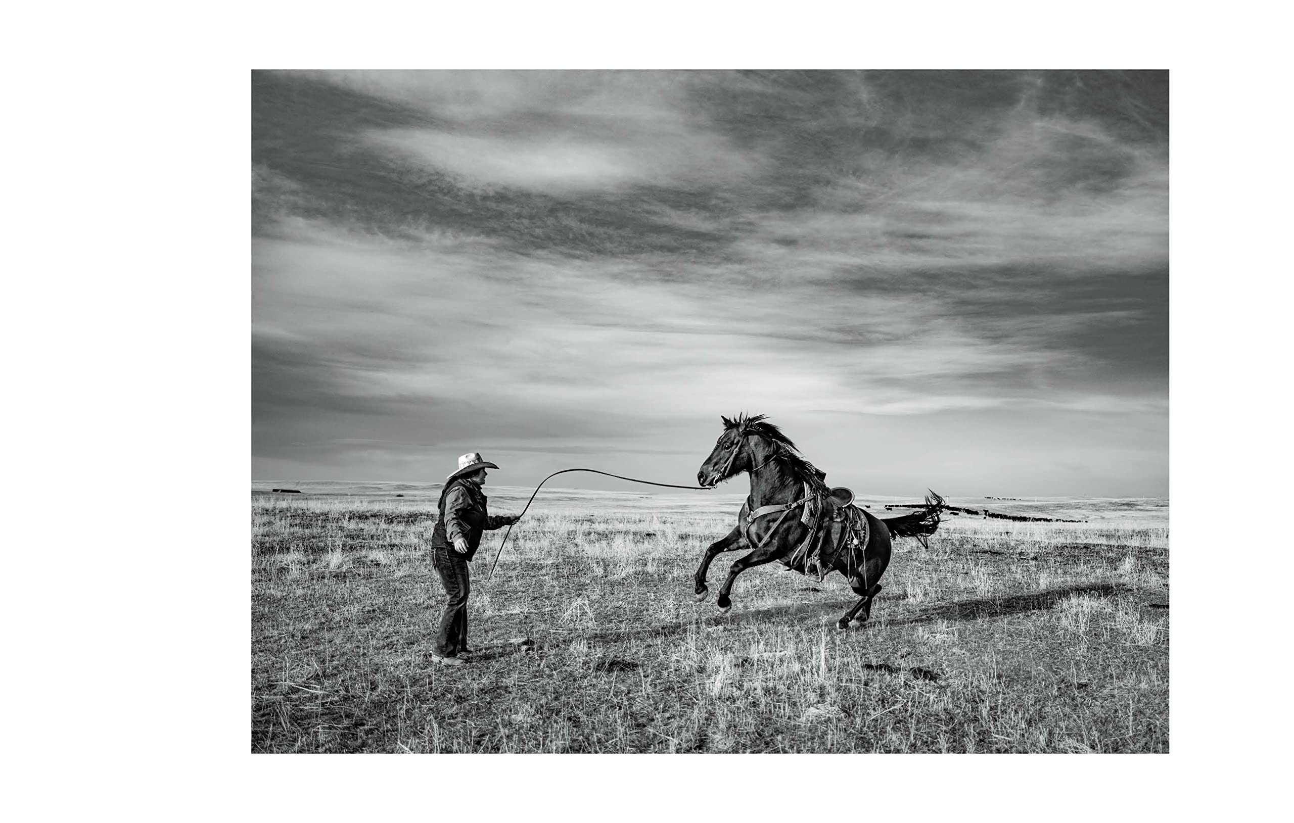 American Cowboys