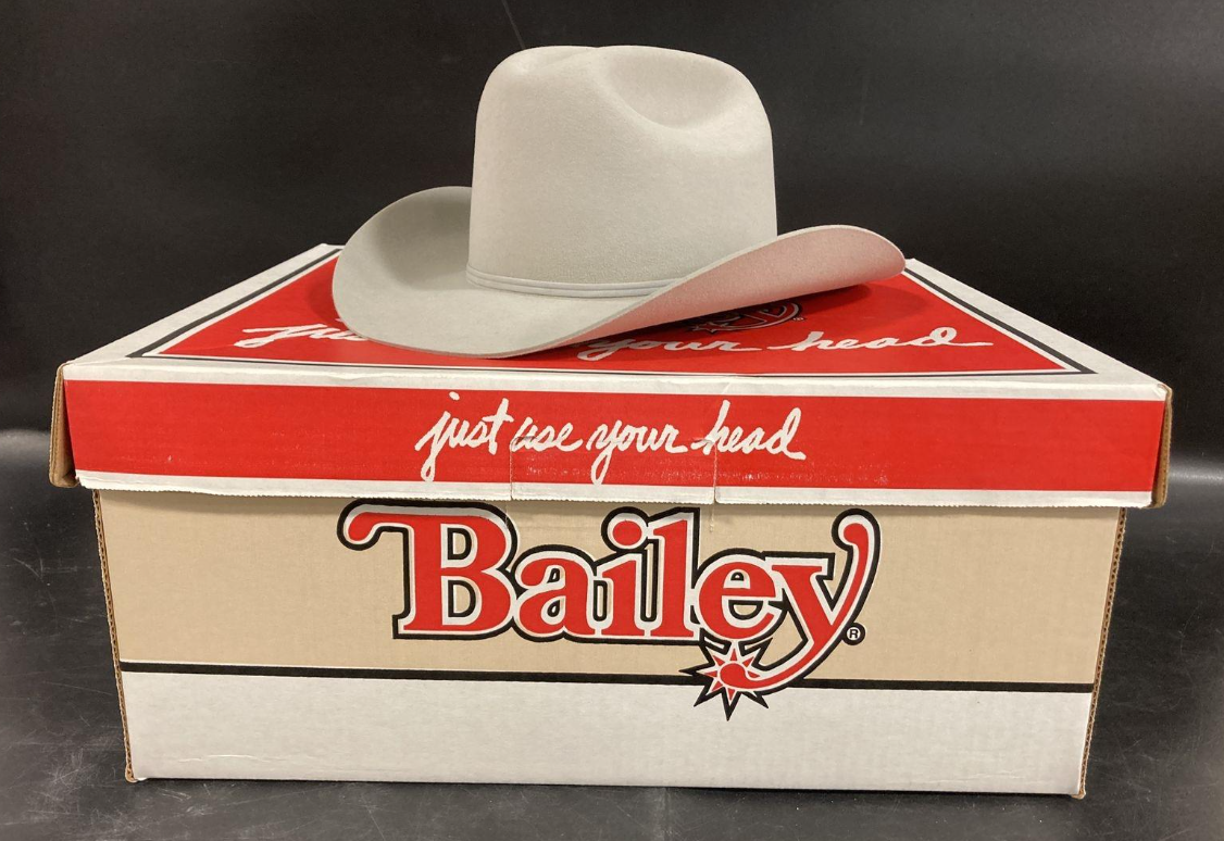 Vintage Bailey Ranchero 5x