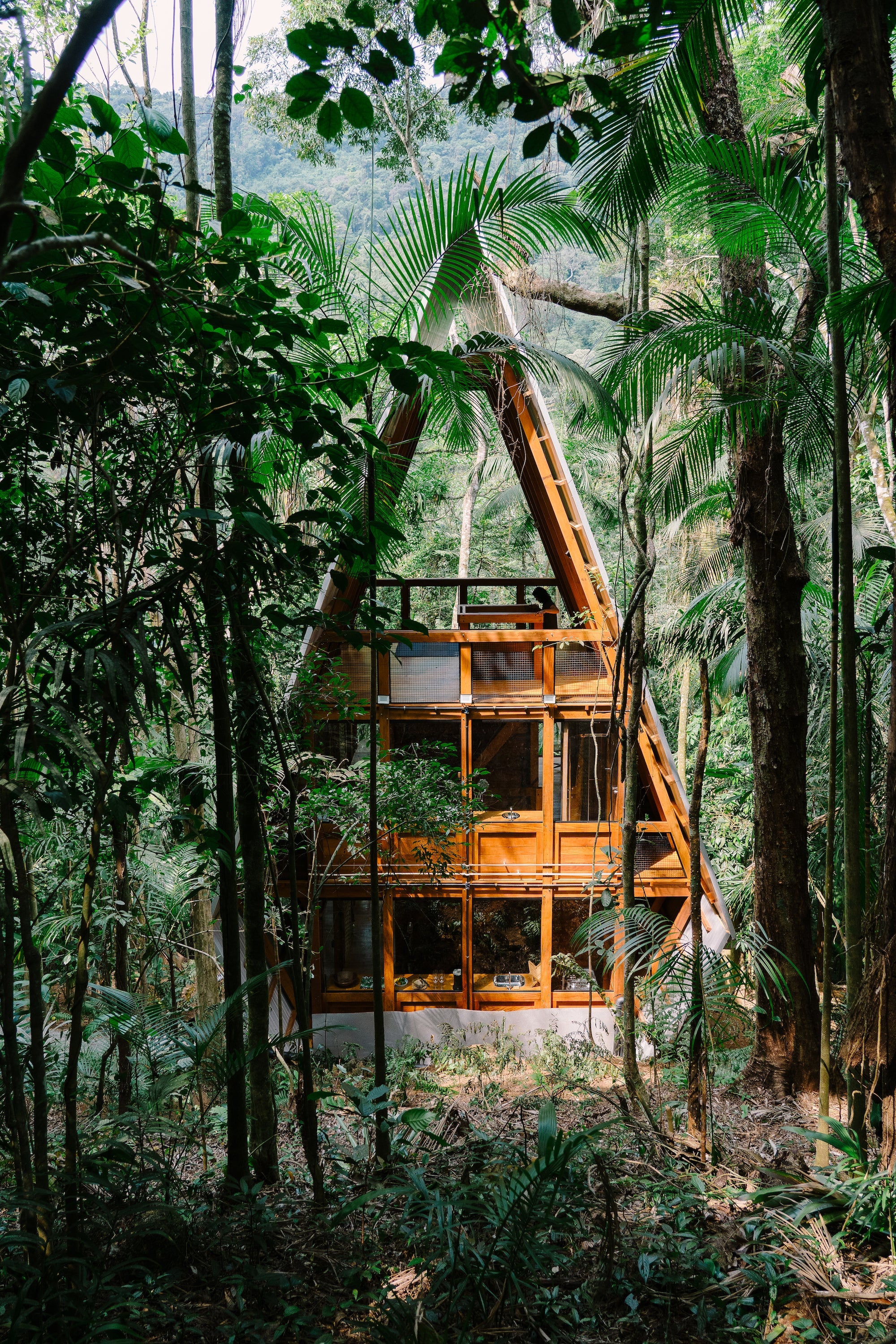 Cabin Fever: Enchanting Cabins, Shacks, and Hideaways